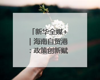 新华全媒+｜海南自贸港：政策创新赋能产业发展